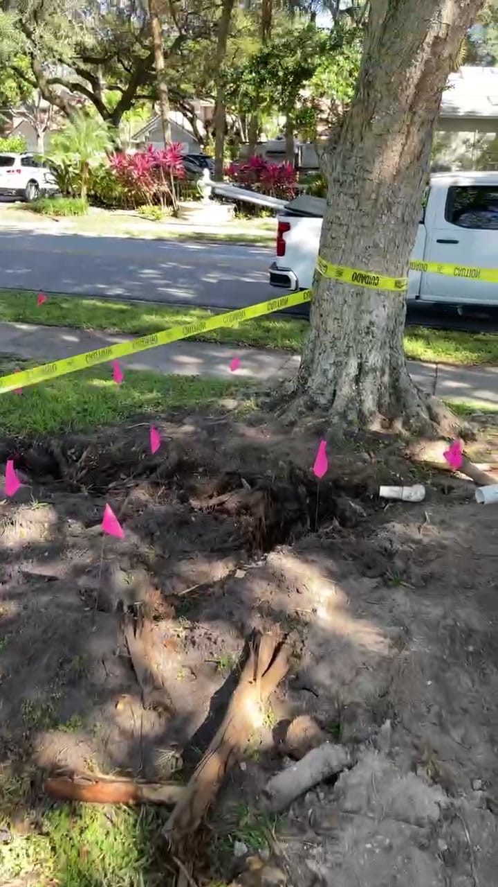 Irrigation line dig with caution tape